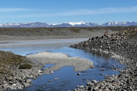 IMG-5359