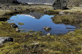 IMG-5360