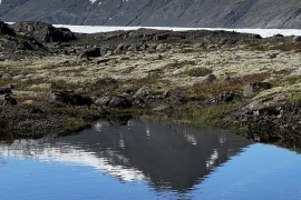 IMG-5362