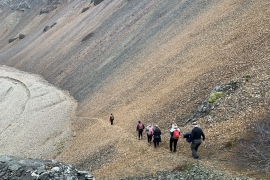 IMG-3631